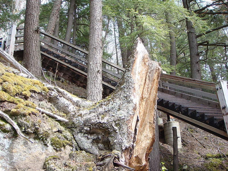 304 Memorial Day [2008 May 23].JPG - Scenes from Tahquanemon Falls in the Michigan Upper Peninsula.